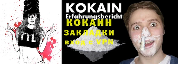 прущие грибы Карпинск