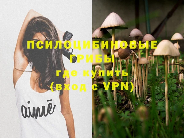 спиды Кинешма