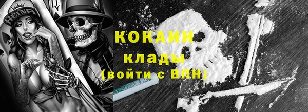 прущие грибы Карпинск