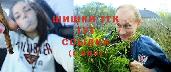 ешки Козловка